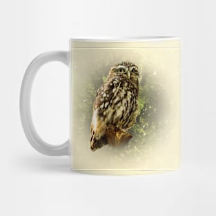 Little owl Mug